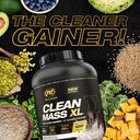 gold-series---clean-mass-xl---the-clean--2.jpg