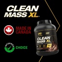 gold-series---clean-mass-xl---the-clean--4.jpg