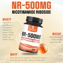 nad-supplement-with-nicotinamide-ribosid-5.jpg