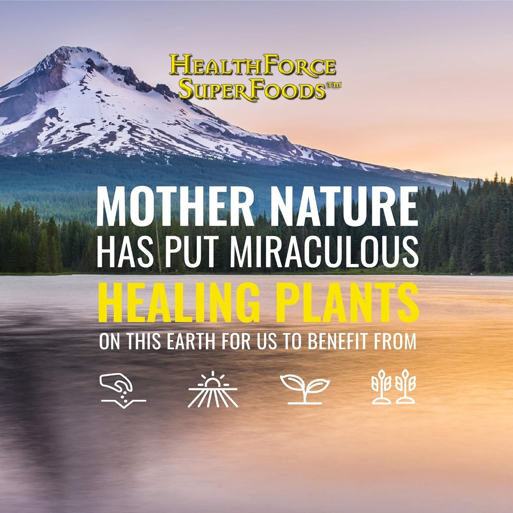 healthforce-superfood-green-protein-alch-4.jpg