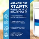 leaky-gut-repair-gut-l-glutamine-powder--3.jpg