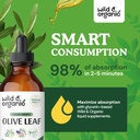 wild-organic-olive-leaf-tincture-4-fl-oz-4.jpg