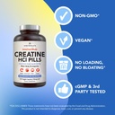 amandean-creatine-hcl-pills-american-mad-2.jpg