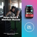 optimum-nutrition-new-flavor-gold-standa-5.jpg