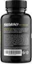 harmony-festival-recovery-post-festival--3.jpg