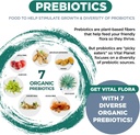 vital-planet---vital-flora-ultra-daily-p-5.jpg