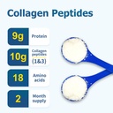 zammex-premium-collagen-peptides-powder--5.jpg