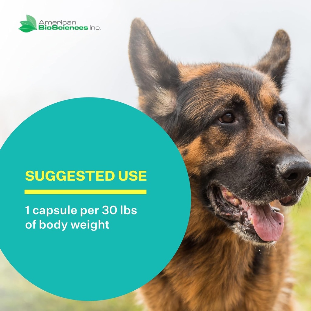 nk-9-ahcc-supplement-for-dogs-cats---die-5.jpg