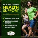 olive-leaf-capsules-bulk-1000-ct---550-m-4.jpg