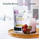 collagen-beauty-formula-unflavored---the-6.jpg