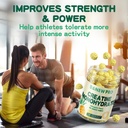 creatine-monohydrate-gummies-for-men-wom-4.jpg