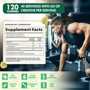 creatine-monohydrate-gummies-for-men-wom-5.jpg