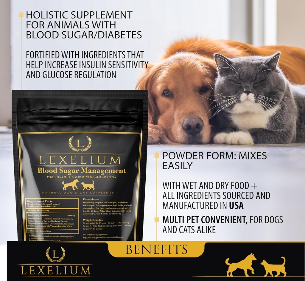 blood-sugar-management-for-diabetic-dogs-2.jpg