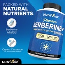 nutrivein-premium-berberine-hcl-1200mg-r-3.jpg