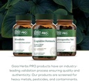 gaia-herbs-pro-cognitive-formula---brain-6.jpg