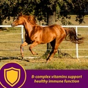 farnam-horse-health-red-cell-liquid-vita-3.jpg