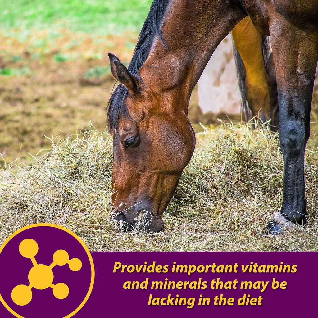farnam-horse-health-red-cell-liquid-vita-5.jpg
