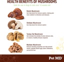 pet-md-mushroom-immune-support-for-dogs--3.jpg