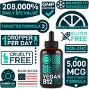vegan-vitamin-b12-liquid-drops---fast-ac-3.jpg