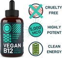 vegan-vitamin-b12-liquid-drops---fast-ac-6.jpg