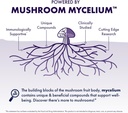 host-defense-mushrooms-lions-mane---supp-6.jpg