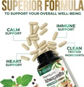 ashwagandha-supplements---2100mg-ashwaga-5.jpg