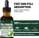 polypodium-leucotomos-kalawalla-root-imm-3.jpg