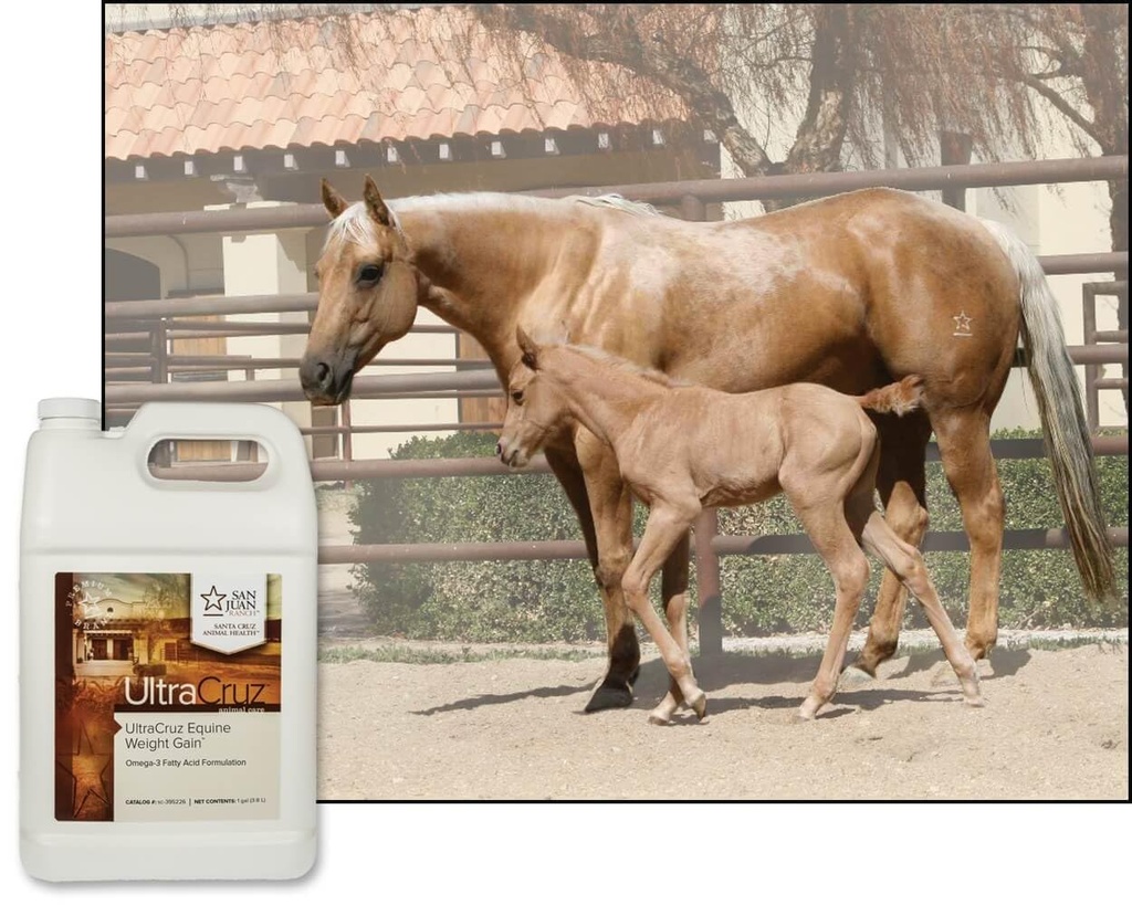 ultracruz-equine-weight-gain-1-gallon-3.jpg