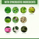 100-pure-hair-skin-and-nails-vitamins-wi-5.jpg