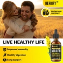 herbify-bundle---mullein-leaf-extract-va-3.jpg