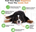 doggie-dailies-probiotics-for-dogs---adv-3.jpg