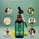 mullein-leaf-extract-for-lungsmullein-dr-5.jpg