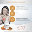 organixx-turmeric-curcumin-60-vegetarian-5.jpg