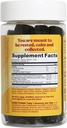 super-chill---mushroom-supplement---reis-2.jpg