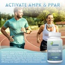 sahha-liposomal-berberine-hcl-1500mg-sup-2.jpg