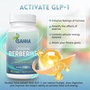 sahha-liposomal-berberine-hcl-1500mg-sup-3.jpg