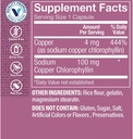 the-vitamin-shoppe-chlorophyll-100mg---n-2.jpg