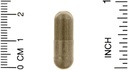dr-mercola-purple-defense-with-resveratr-3.jpg