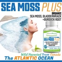 power-by-naturals-certified-organic-sea--2.jpg