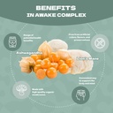mushroom-genetics-lions-mane-ashwagandha-3.jpg