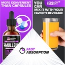 herbify-mullein-drops---lung-cleanse---l-5.jpg