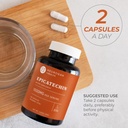 potent-epicatechin-capsules-500mg-each10-5.jpg
