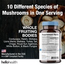 happy-brain-mushroom-complex-nootropics--2.jpg