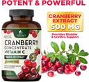 cranberry-pills-for-women---500-mg-natur-5.jpg