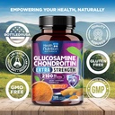 glucosamine-chondroitin-msm-2100mg-compl-4.jpg