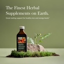 gaia-herbs-plant-force-liquid-iron---veg-2.jpg