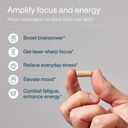 focl-am-pm-nootropic-functional-suppleme-3.jpg