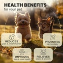 hemp-oil-for-dogs-and-cats---helps-with--2.jpg