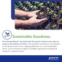 pure-encapsulations-cholestepure-plus-ii-5.jpg