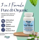 elderwise-sea-moss-capsules---sea-moss-w-2.jpg